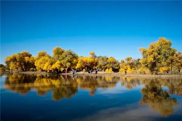 三千年的情缘，三千年的企盼只为这一季的金秋（附攻略）
