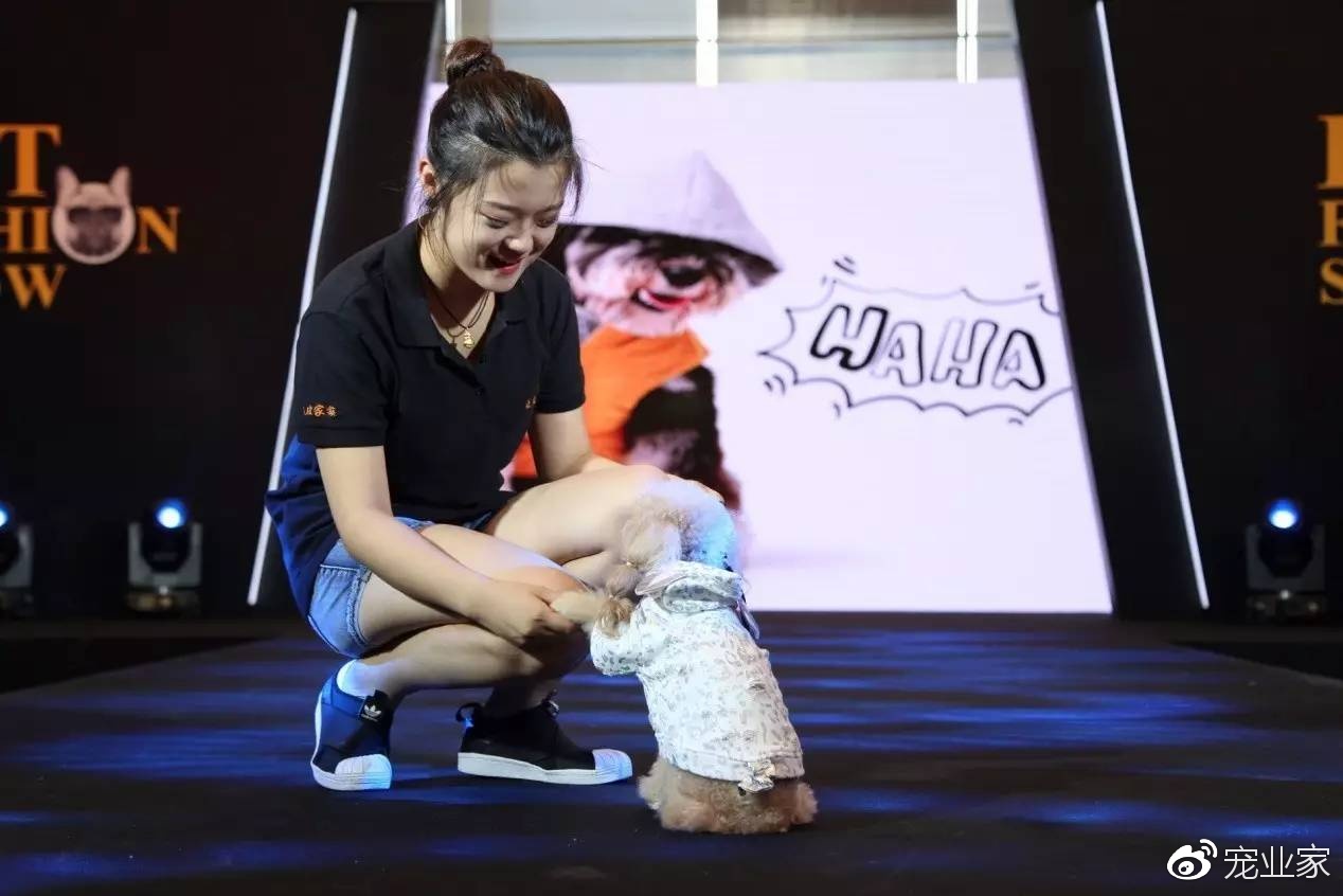 2019年亚宠展攻略,亚宠展要逛多久