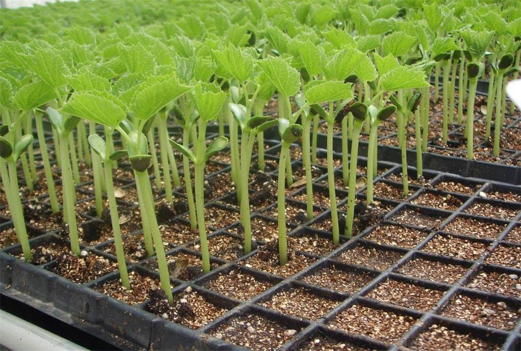 幕前幕后在线全文阅读,幕前幕后的节目