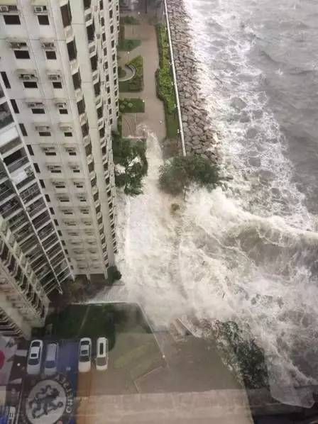 桌边社0824：想在中国找到不用抗生素的鸡，难度很大