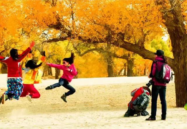 三千年的情缘，三千年的企盼只为这一季的金秋（附攻略）