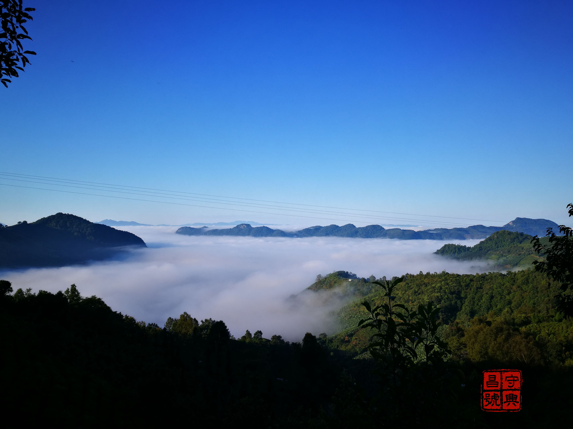 六大茶山六山圆茶,六大茶山佛海银毫和六山春尖区别