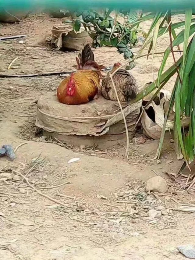 梦想还是要有的没准就实现了呢,梦想还是要有的虽然它很遥远