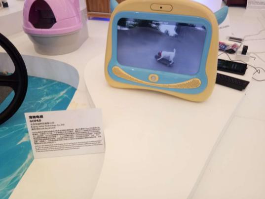 2019年亚宠展攻略,亚宠展要逛多久