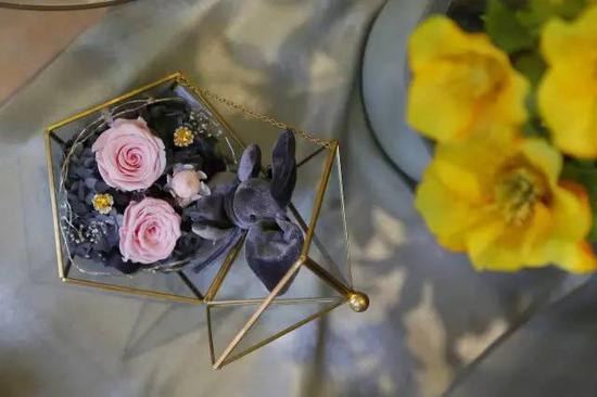 藏在巷子里的花店,隐藏在城市里的花店