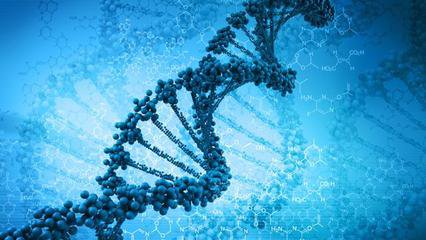 安东尼罗宾口才训练,安东尼罗宾nac神经链调整术