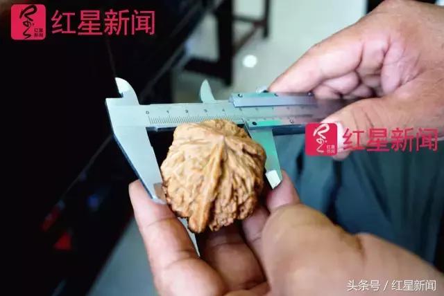 真相调查：文玩核桃再步玛卡后尘？从几万元一对到5元没人要？