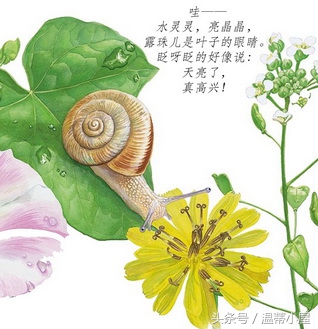 故事讲到快吐了，闺蜜送我5条锦囊去对付喜欢重复听故事的娃