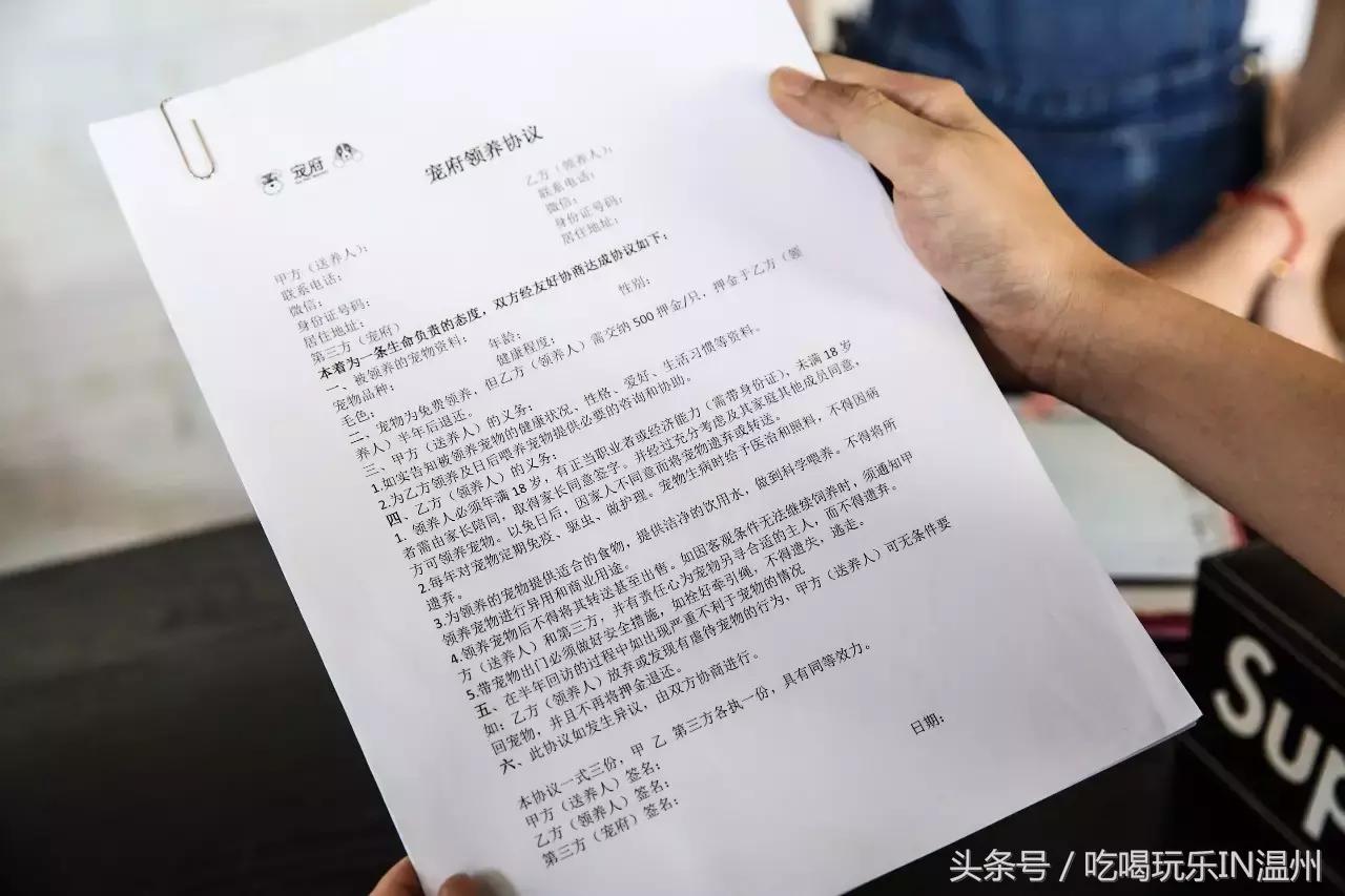 爱狗如命的女孩是什么心理,爱狗如命的女主角