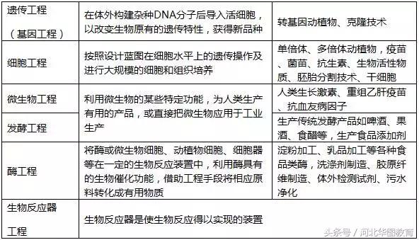 被誉为新时代儒林外史,被誉为新儒林外史的是哪部小说