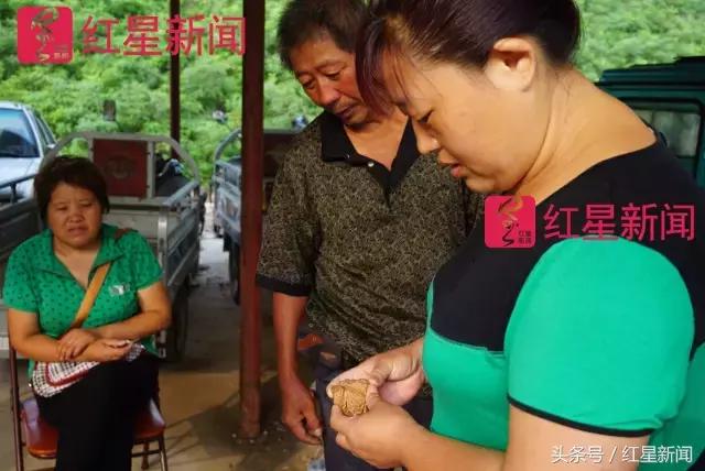 真相调查：文玩核桃再步玛卡后尘？从几万元一对到5元没人要？