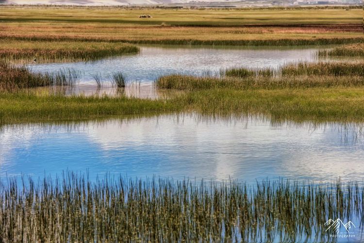在最美的时光遇见你散文,在最美的时光遇见最美的你