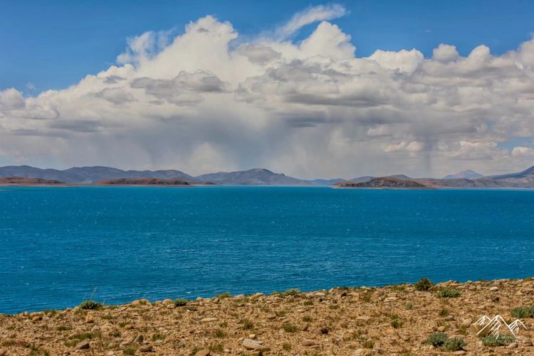 在最美的时光遇见你散文,在最美的时光遇见最美的你