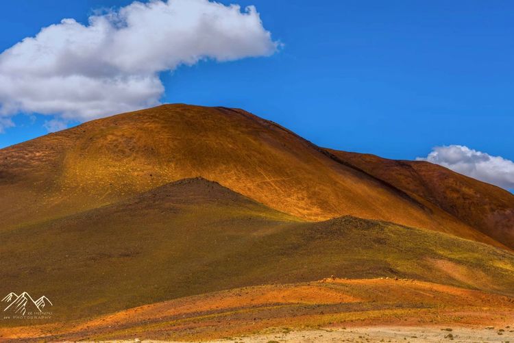 在最美的时光遇见你散文,在最美的时光遇见最美的你