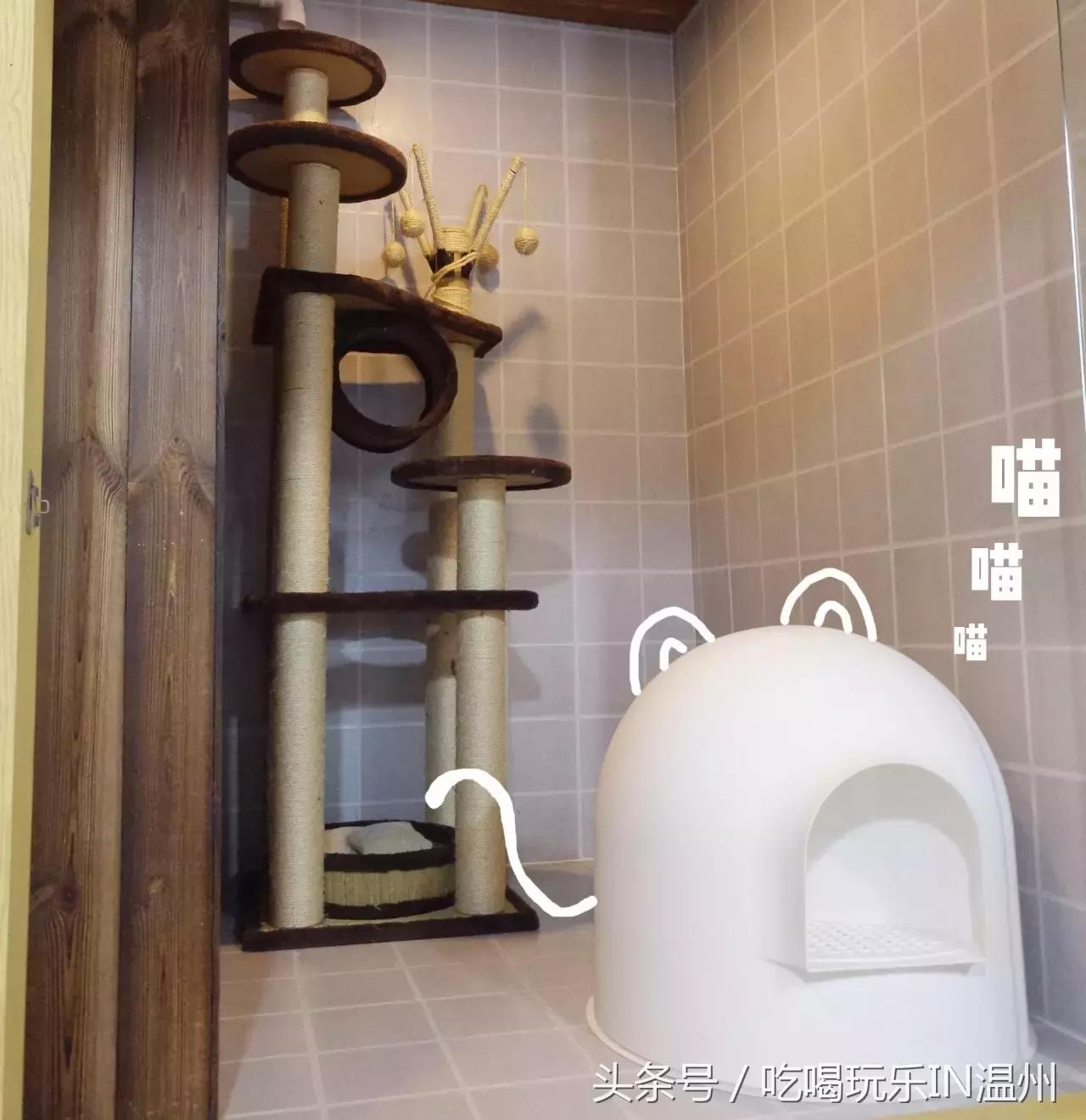 爱狗如命的女孩是什么心理,爱狗如命的女主角