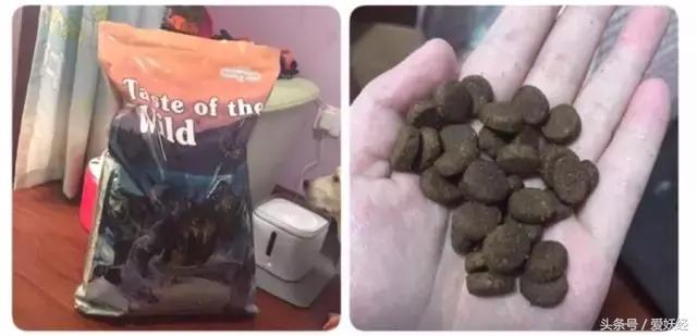 Todayis七夕，这盆狗粮爱妖经替你验过，放心吃吧