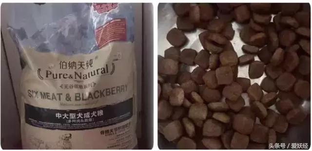 Todayis七夕，这盆狗粮爱妖经替你验过，放心吃吧