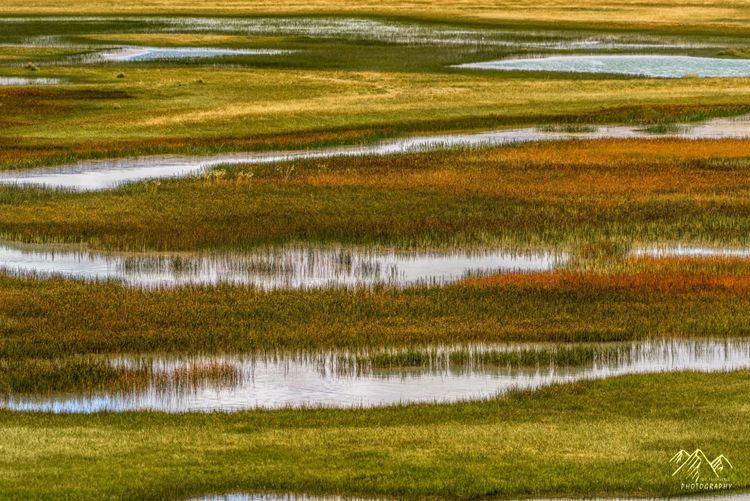 在最美的时光遇见你散文,在最美的时光遇见最美的你