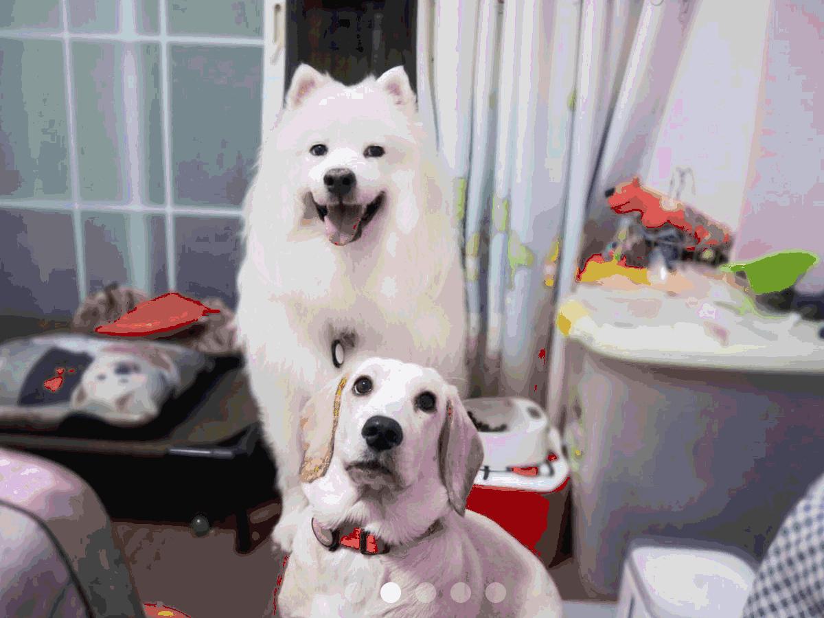 Todayis七夕，这盆狗粮爱妖经替你验过，放心吃吧