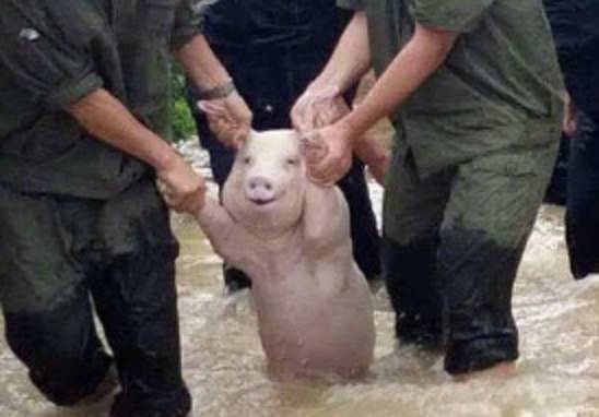 微信发图片可以传原图吗,微信传照片过大怎么传原图