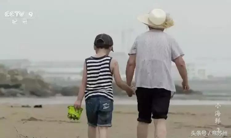 舌尖上的中国之麻辣小海鲜,舌尖上的中国小海鲜