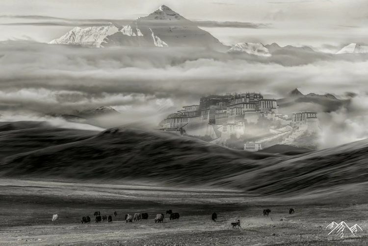 在最美的时光遇见你散文,在最美的时光遇见最美的你