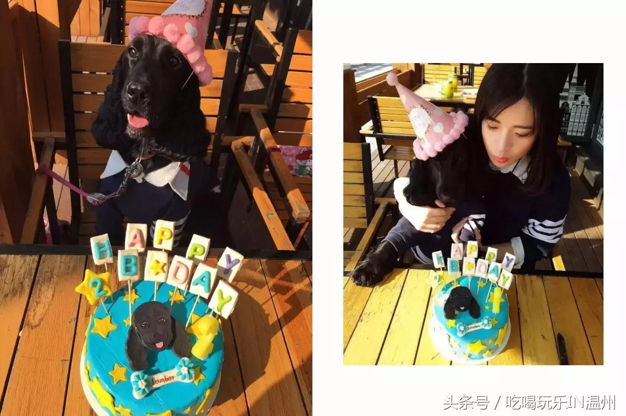 爱狗如命的女孩是什么心理,爱狗如命的女主角