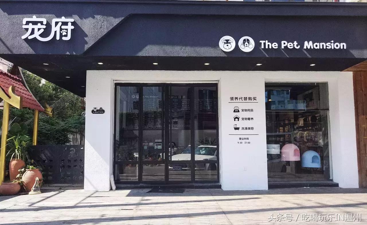 爱狗如命的女孩是什么心理,爱狗如命的女主角