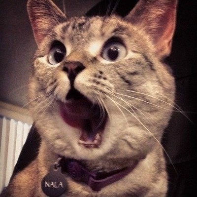 通讯录家人的搞怪称呼,联系人通讯录好友有趣称呼