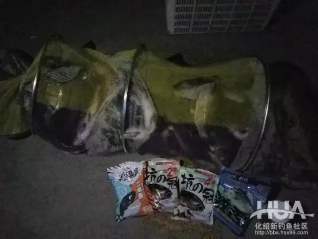 夜钓狂拉鲢鳙饵料实测,黑坑5小时钓100斤难度大不大