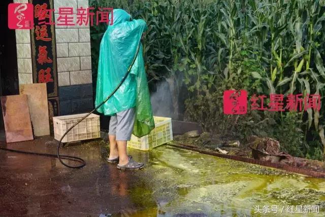 真相调查：文玩核桃再步玛卡后尘？从几万元一对到5元没人要？