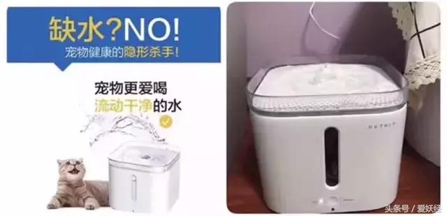 Todayis七夕，这盆狗粮爱妖经替你验过，放心吃吧