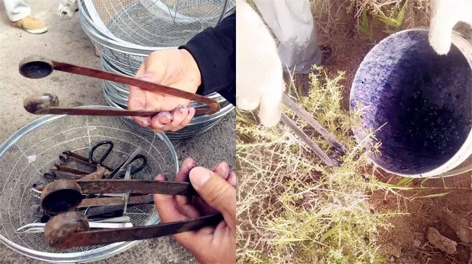 对于黑枸杞你真的了解吗,关于黑枸杞的8大误区