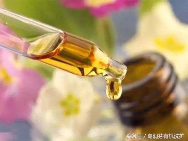 单方精油怎么使用效果最佳,玫瑰精油怎样使用效果最好