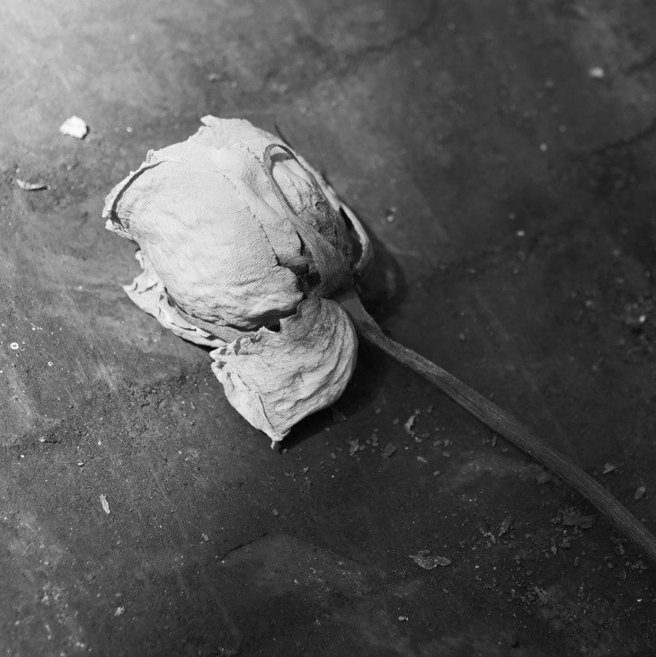 松下LUMIX7-14mm镜头评测,松下lumix相机效果图