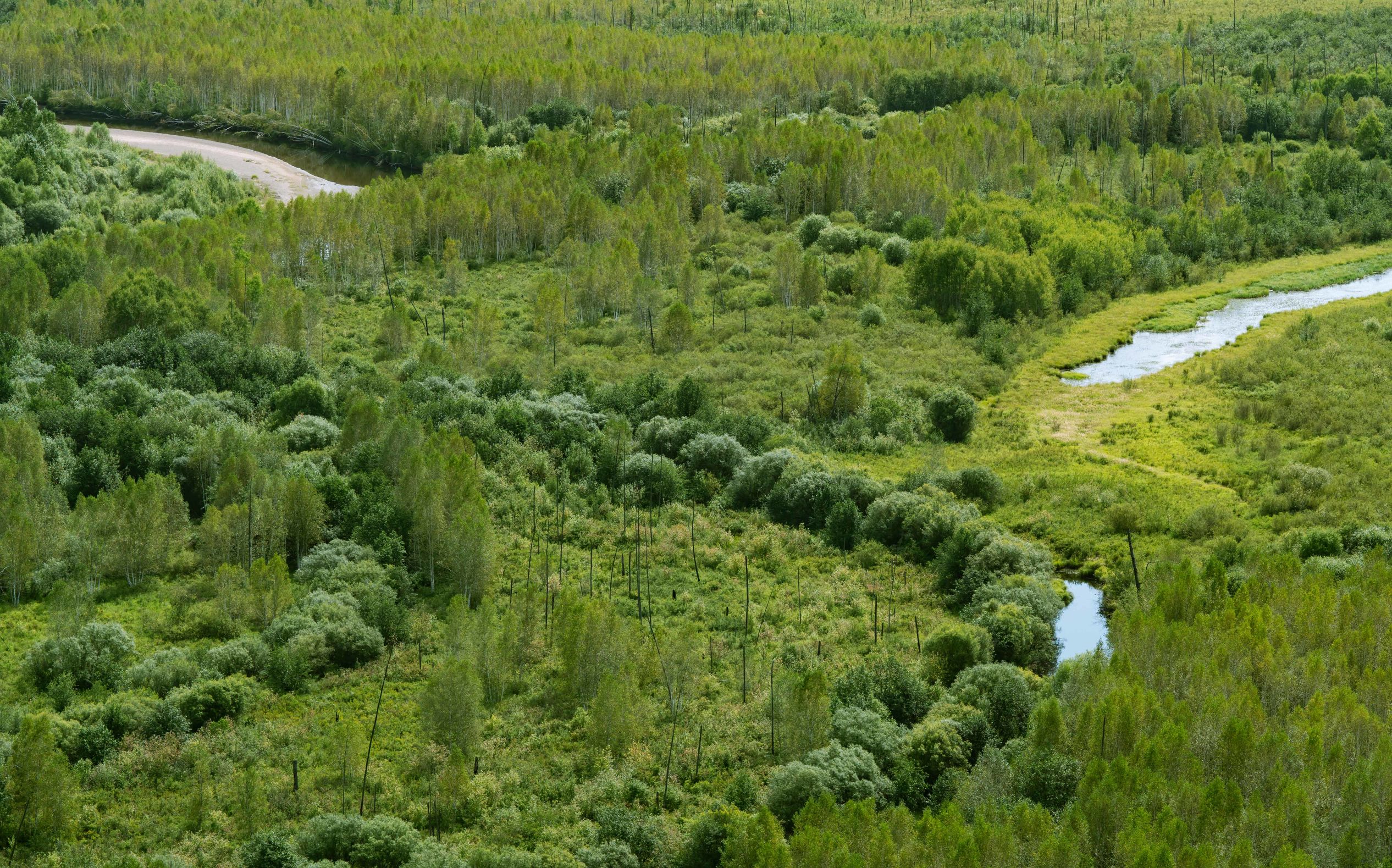 黑龙江自驾游美食攻略,黑龙江环线自驾游攻略