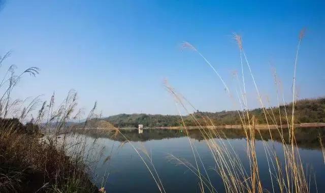 南岸区适合游玩的乡村,南岸乡村旅游