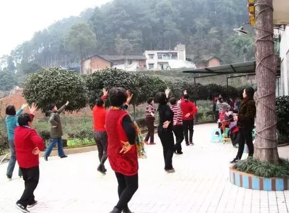 南岸区适合游玩的乡村,南岸乡村旅游