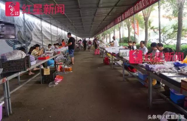 真相调查：文玩核桃再步玛卡后尘？从几万元一对到5元没人要？