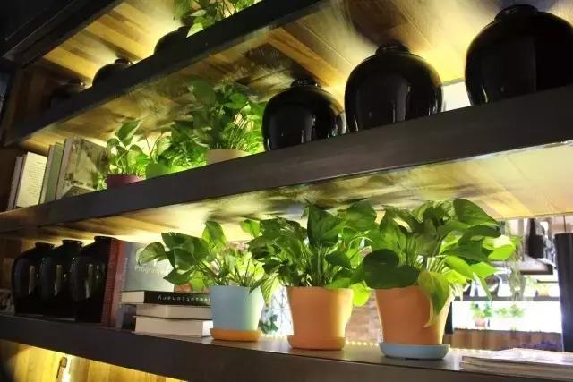 那些年的我们主题餐厅,那些年我们的青年餐厅