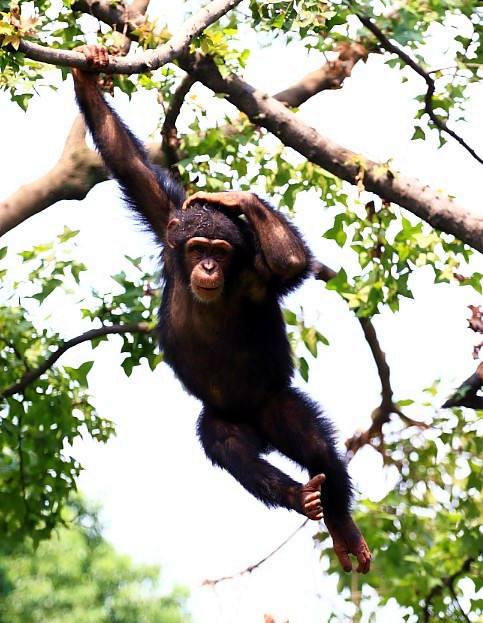 宇宙最小的物质是弦吗,宇宙中最小的物质弦是什么