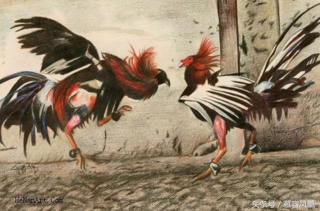 崇仁麻鸡为什么那么有名气,崇仁麻鸡有多漂亮