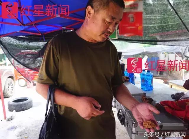 真相调查：文玩核桃再步玛卡后尘？从几万元一对到5元没人要？