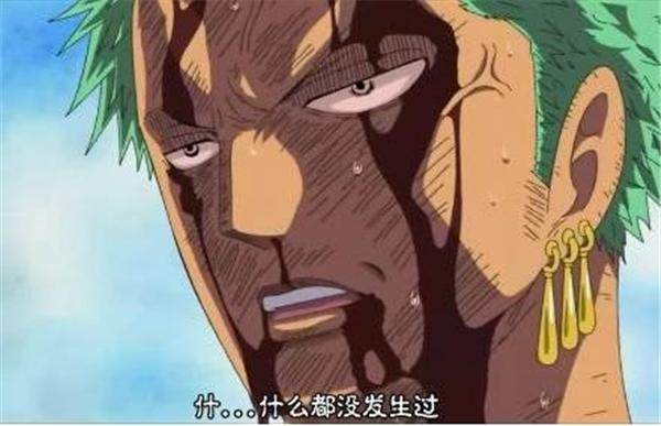 佩罗娜打索隆被山治笑,海贼王娜美生孩子