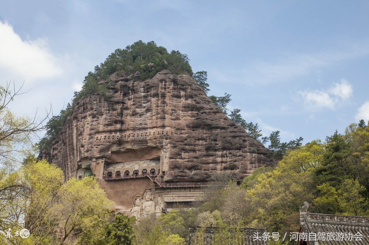 胡杨林景区额济纳旗司机,新疆自驾老司机