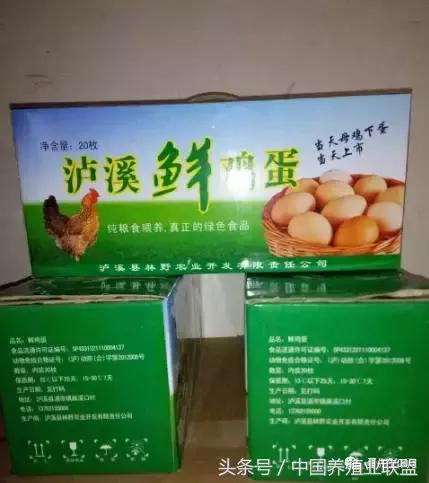 鸡蛋生意经营技巧,如何把鸡蛋卖出高价格