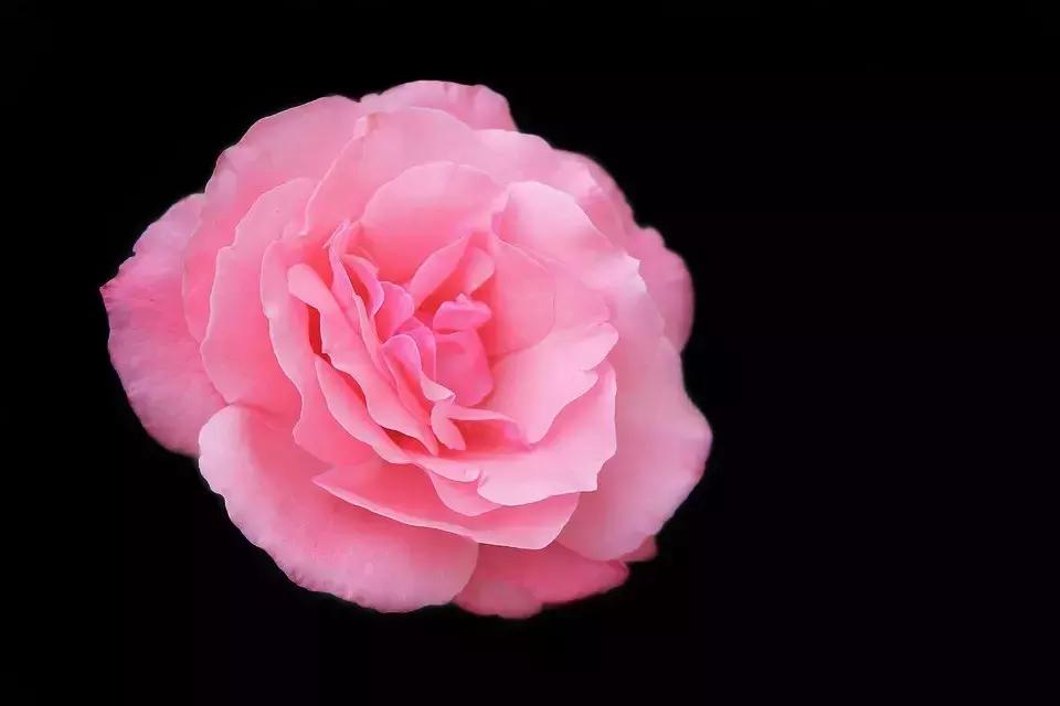 如何打造高级黑色背景直播间,1分钟学会打造高级灰效果