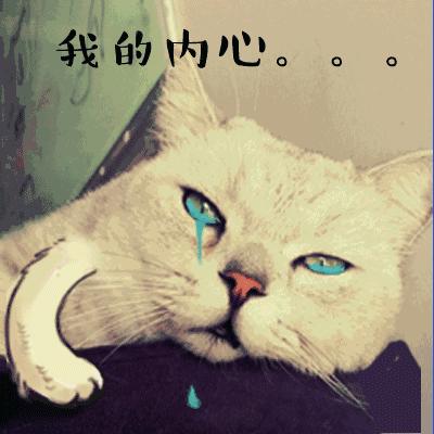 扎心工作,威海高薪工作有哪些