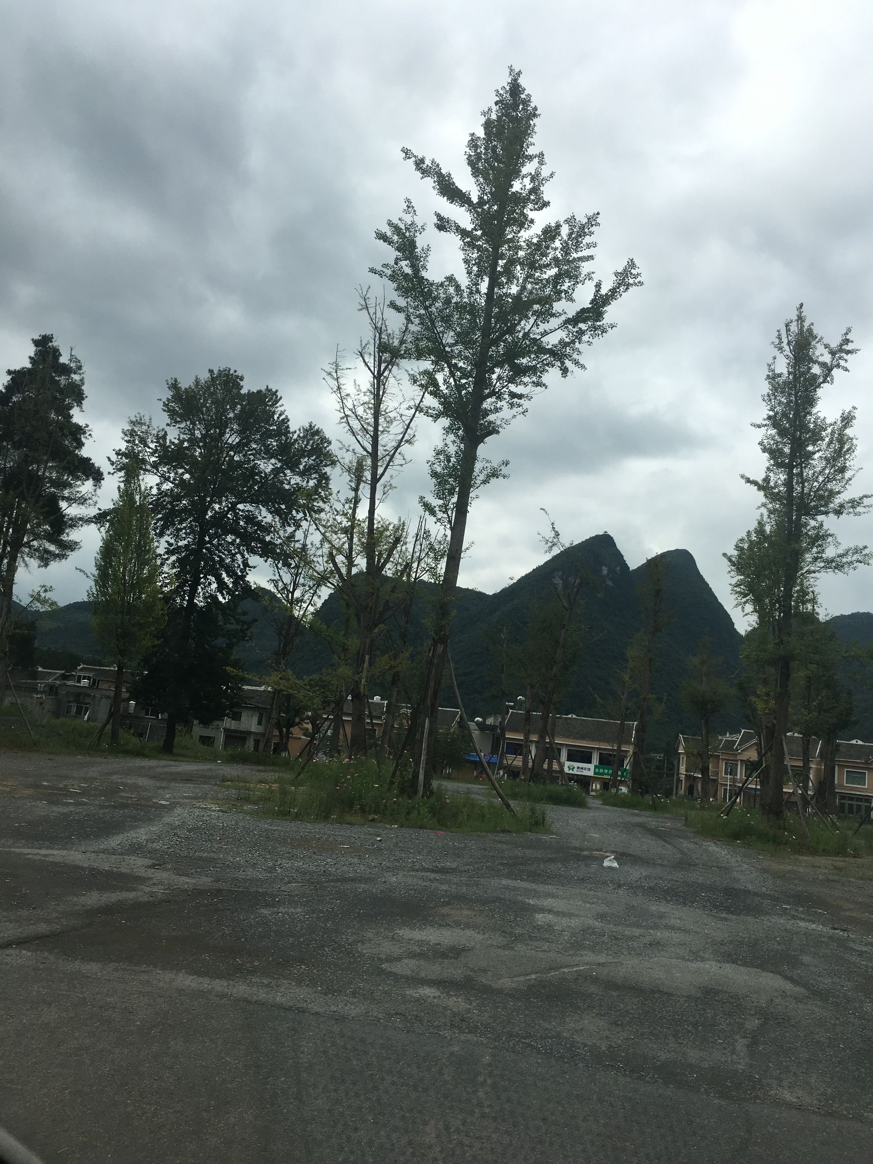 贵州金沙旅游项目,金沙县台金农业观光园