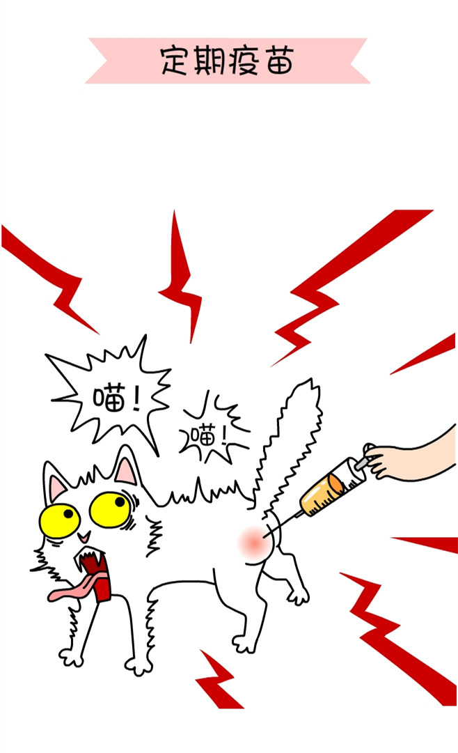 关于一个铲屎官和四只猫的漫画,铲屎官照顾猫的漫画